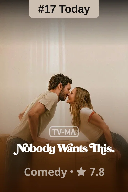 Nobody Wants This poster