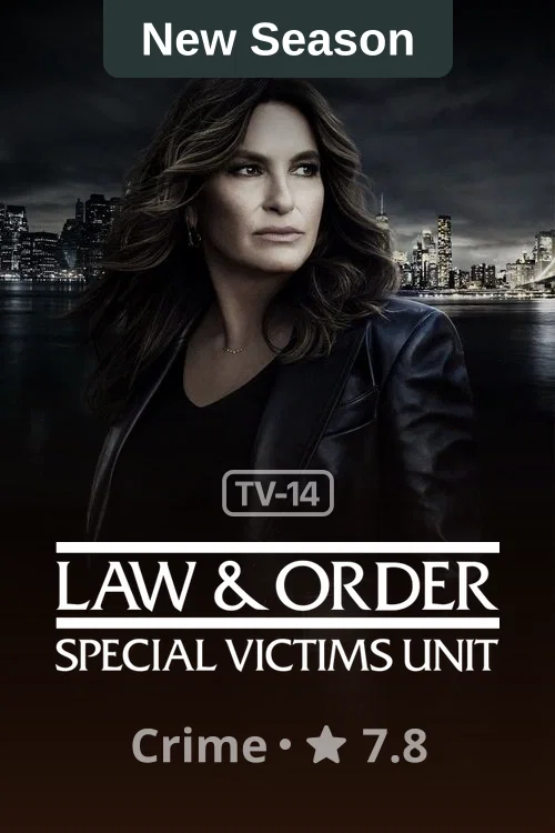 Law & Order: Special Victims Unit poster