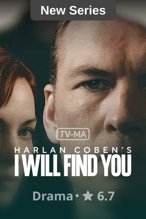 I Will Find You poster