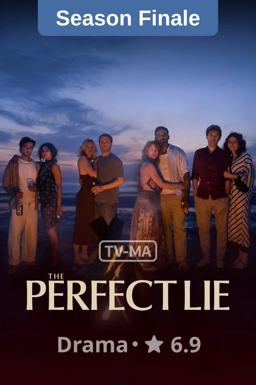 The Perfect Lie poster